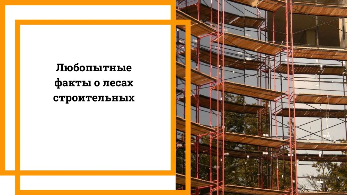 Любопытные факты о лесах строительных